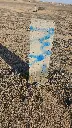 ارض 1384 6.webp